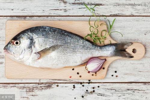 鱼在浴缸里吃瓜,浴缸鱼儿乐享瓜果盛宴