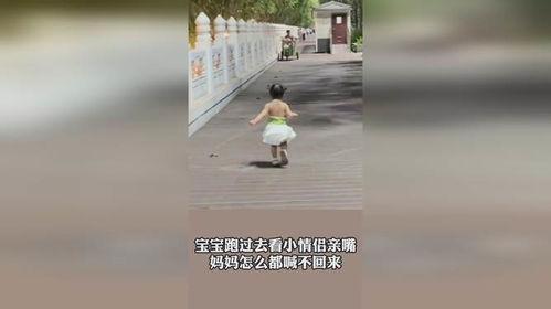 情侣亲吻旁人吃瓜,旁人吃瓜热议不断