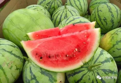 凯歌吃瓜,揭秘娱乐圈幕后故事