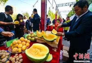 吃瓜最新事件东城,揭秘最新吃瓜事件背后的真相