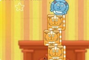 星星猫吃瓜,星星猫的瓜田奇遇记