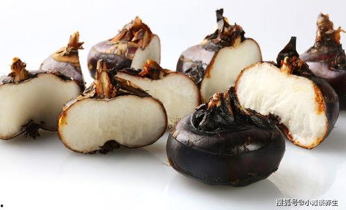 小书吃生瓜,生瓜奇遇之旅