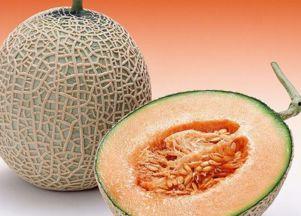 淼淼吃哈密瓜视频