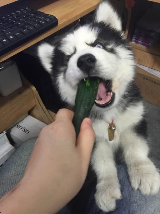 阿拉吃瓜,揭秘娱乐圈那些不为人知的幕后故事