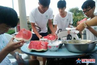 大连二中吃瓜,一场“吃瓜”事件的背后真相