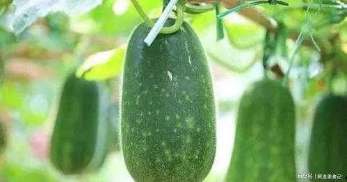 一七吃瓜官网,揭秘娱乐圈幕后故事，带你领略明星生活百态