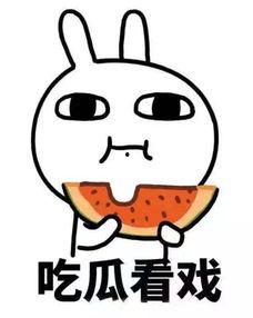 瓜哥吃瓜奇葩暗号,揭秘那些令人捧腹的奇葩暗号