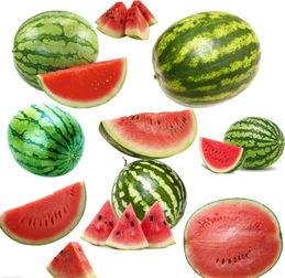 南月吃瓜,揭秘娱乐圈那些不为人知的幕后故事