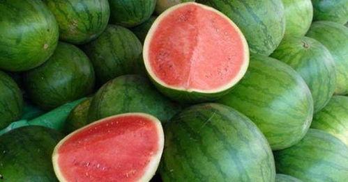 没有瓜吃怎么回,探寻无瓜生活的挑战与应对之道