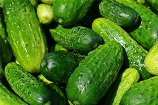 梦见吃洋瓜,洋瓜盛宴背后的神秘寓意