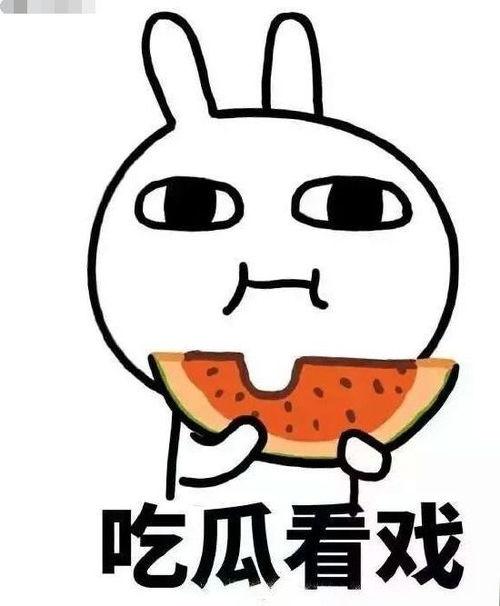 瓜哥吃瓜奇葩动画片视频,揭秘奇葩动画片背后的趣味与思考