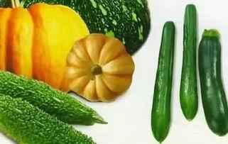 吃瓜5秒,吃瓜5秒，洞察明星幕后真相