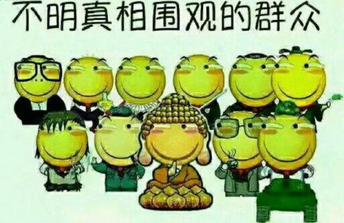 吃瓜群众小鱼包,揭秘娱乐圈幕后故事