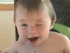 吃瓜的北鼻,吃瓜群众视角下的娱乐圈风云录