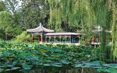 宁夏大学亭子吃瓜,夏日纳凉吃瓜的悠闲时光