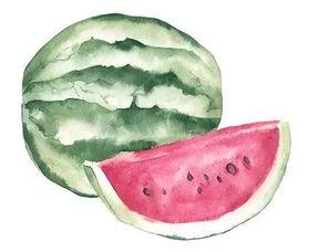 吃瓜的瓜的意思,揭秘“吃瓜群众”背后的故事