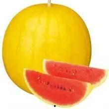 彩虹朋友们吃瓜,共享甜蜜时光