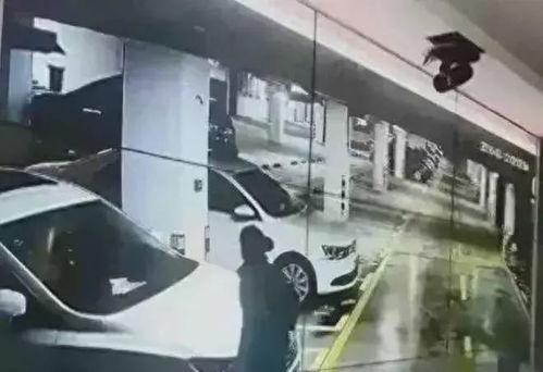 高校隔门吃瓜视频,高校学子创意互动，网络热议校园生活新风尚