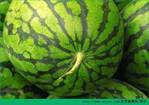 发烧时吃瓜,发烧时吃瓜的神奇效果揭秘