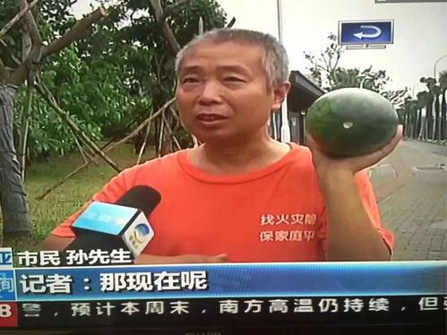 潍坊吃瓜热门事件,揭秘网络热议背后的真相与反思