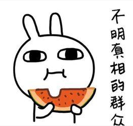 吃瓜不问,吃瓜不问，真相大白