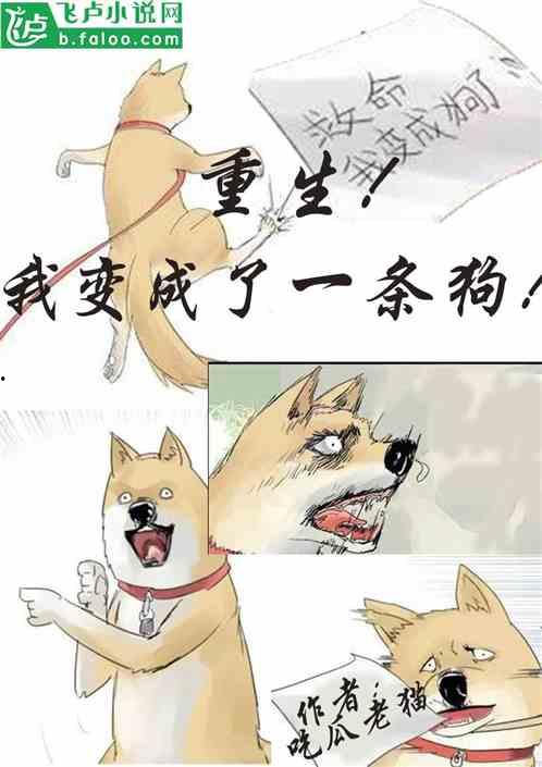 积极吃瓜小说免费阅读,揭秘网络小说世界的免费阅读奥秘