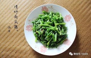 面瓜梗怎么吃,解锁家常美味新境界