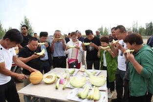老汉瓜冷冻吃,冬日里的清凉美味体验